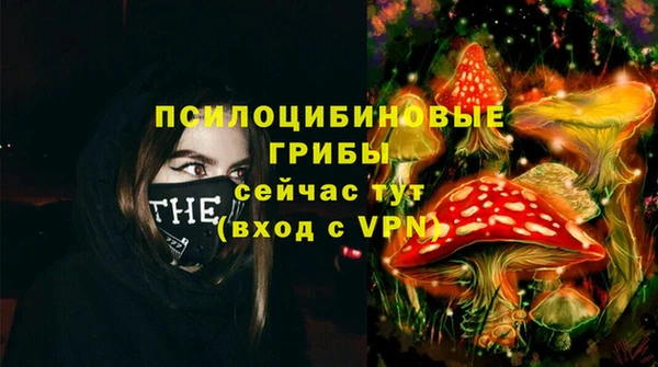 PSILOCYBIN Осинники