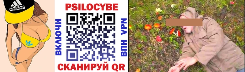 где продают   мега онион  Галлюциногенные грибы Cubensis  Байкальск 